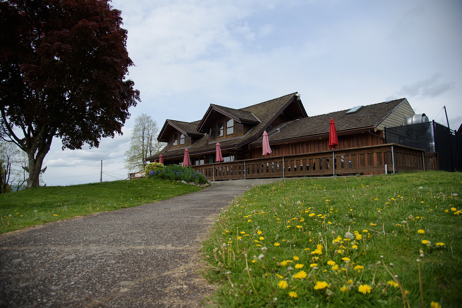 Contact The Blackberry Kitchen Restaurant In Fraser River Heritage Park   BBK3 